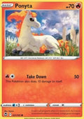 Ponyta