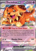 Dachsbun ex