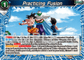 Practicing Fusion