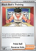 Black Belt's Training