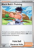 Black Belt's Training