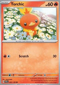 Torchic