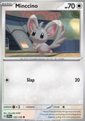 Minccino