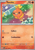 Torchic