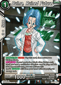 Bulma, Ruined Future