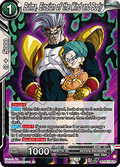 Bulma, Erosion of the Mind and Body