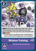 Wisdom Training (P-108)