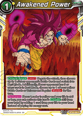 Awakened Power