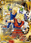 Son Goku, Vegeta, & Paikuhan, Trinity