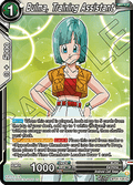 Bulma, Training Assistant