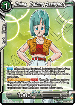 Bulma, Training Assistant